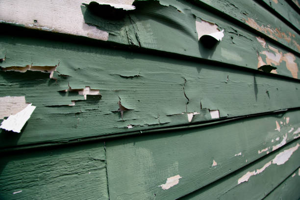 Storm Damage Siding Repair in Canyon Lake, CA