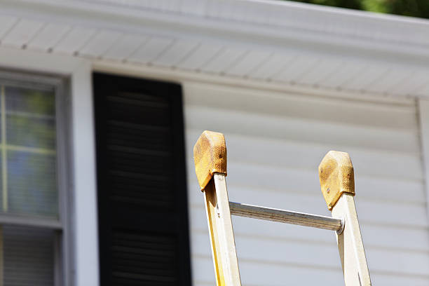 Best Siding Removal and Disposal  in Nyon Lake, CA